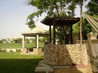 villa  (41)